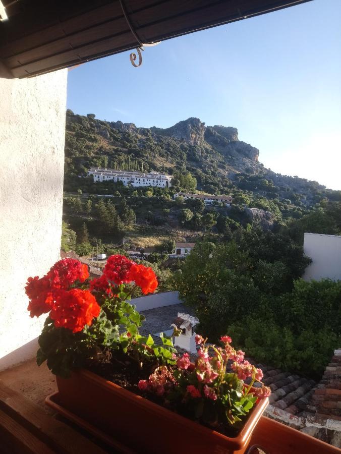 Casa Rural En Grazalema Εξωτερικό φωτογραφία