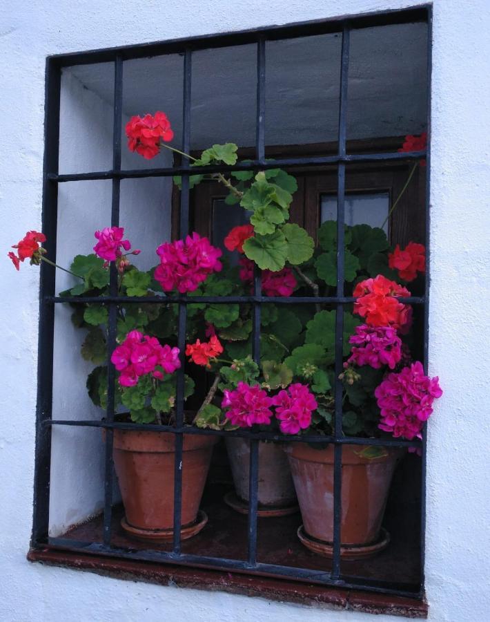 Casa Rural En Grazalema Εξωτερικό φωτογραφία